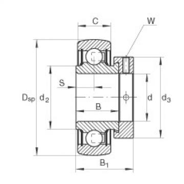 roulements RA100-NPP-B INA