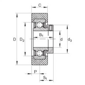 roulements RCSMB25/65-FA106 INA