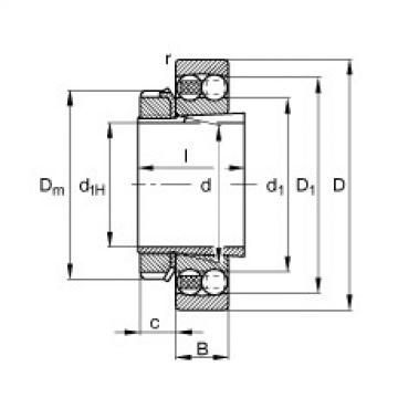 roulements 1220-K-M-C3 + H220 FAG