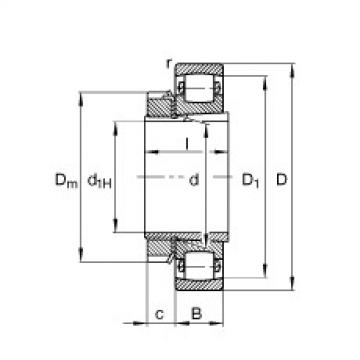 roulements 20220-K-MB-C3 + H220 FAG