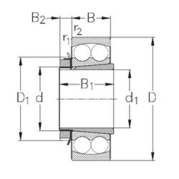 roulements 1315-K+H315 NKE