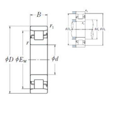 roulements N 204 NSK