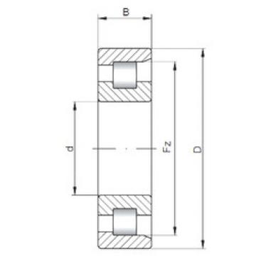 roulements NF3036 CX