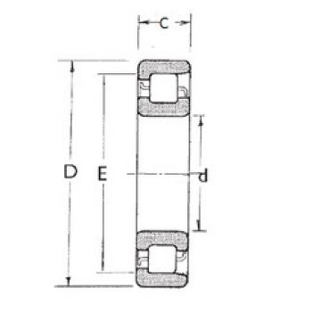 roulements NF313 FBJ