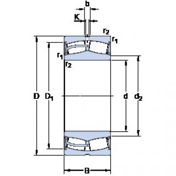 roulements 23052-2CS5/VT143 SKF