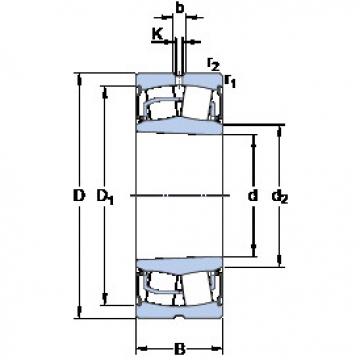 roulements BS2-2210-2RSK/VT143 SKF