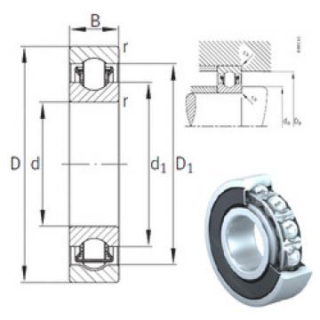 roulements BXRE009-2RSR INA