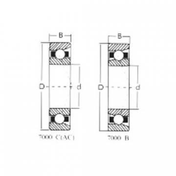 roulements 7317C CRAFT