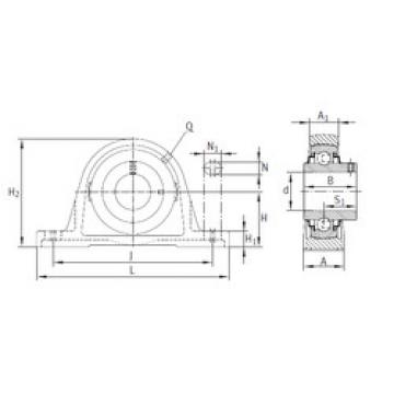 roulements RASEY45 INA