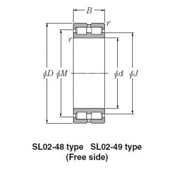 Bearing SL02-4940