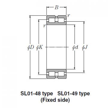 Bearing SL01-4938