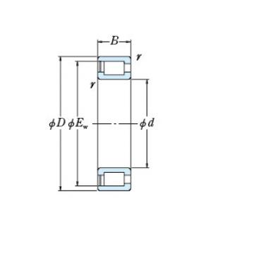 Bearing RS-5038