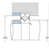 Bearing NRXT30040E