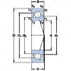 roulements 7000 ACE/P4A SKF