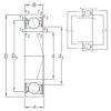 roulements VEB 50 /S/NS 7CE1 SNFA