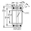 roulements GEG100ES-2RS AST