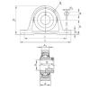 roulements RAKY2-15/16 INA