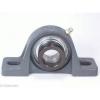 FHSPW207-23G Pillow Block Cast Iron Light Duty 1 7/16&#034; Ball Bearings Rolling