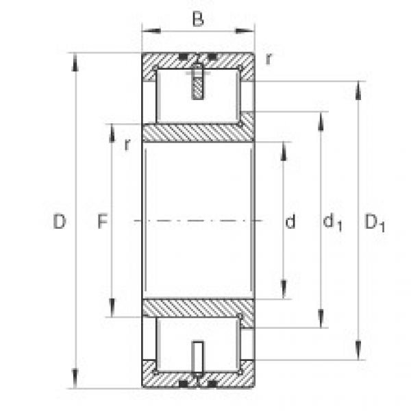 roulements LSL192360-TB INA #1 image