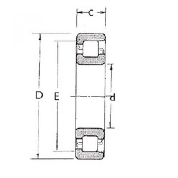 roulements NF313 FBJ #1 image