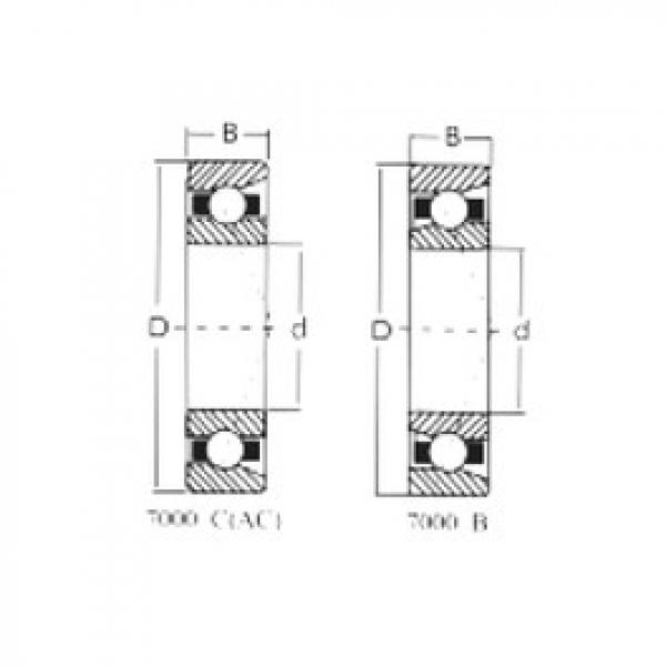 roulements 7317C CRAFT #1 image