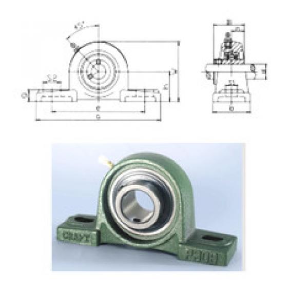 roulements UCP317 CRAFT #1 image