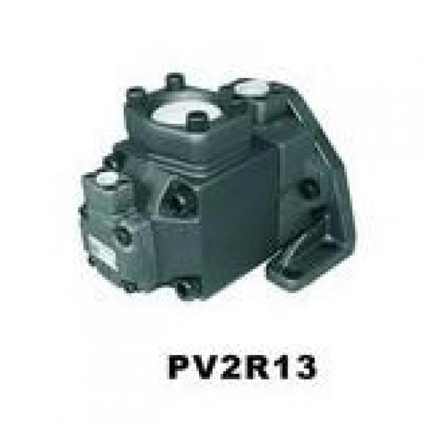  Parker Piston Pump 400481004353 PV180R1K4K3NFT2+PV046R1L #2 image